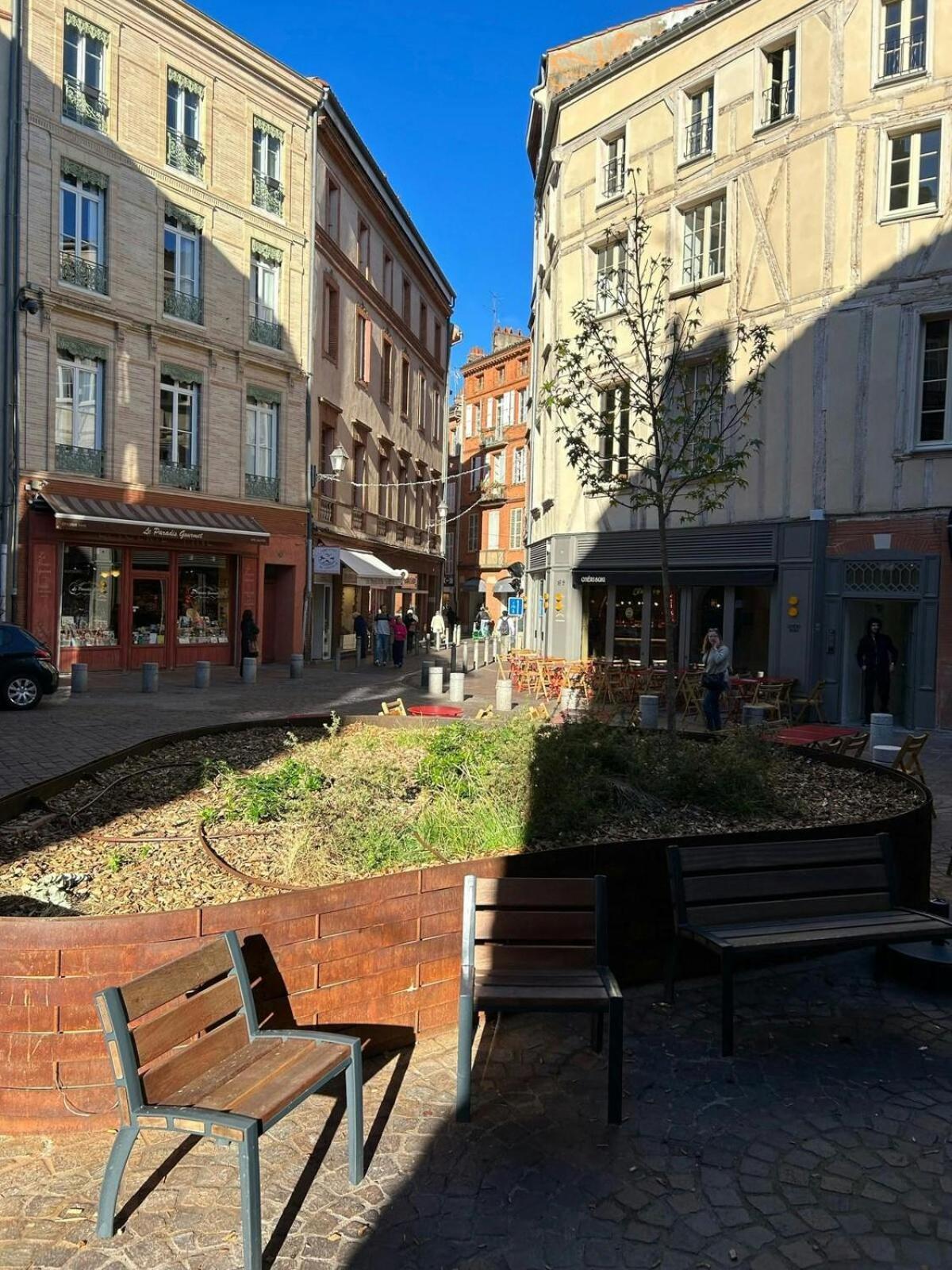 T1Bis-Cosy-Place Salengro-Metro Toulouse Buitenkant foto